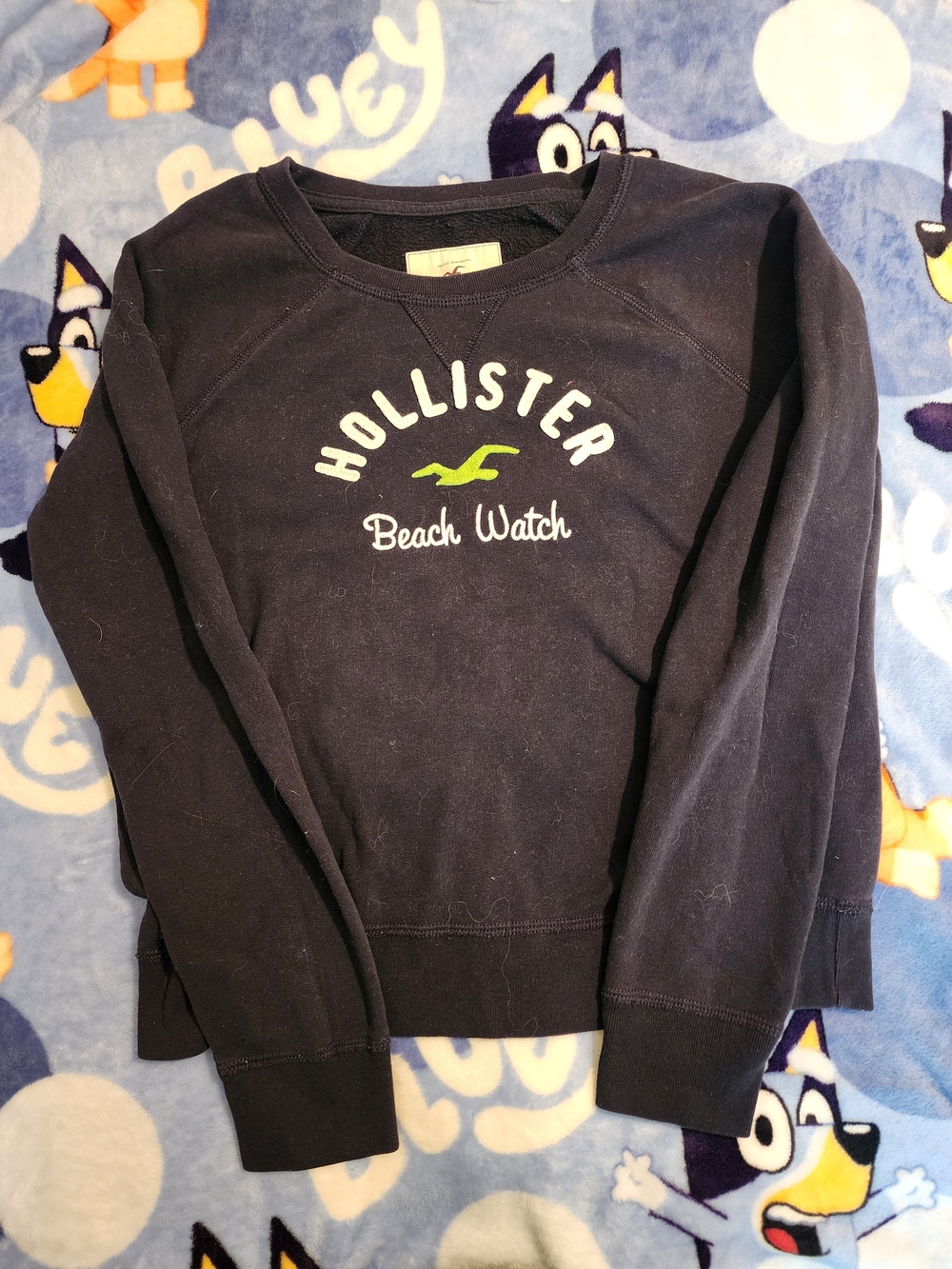 Y2k Hollister Navy "Beach Watch" Crewneck Sweatshirt Teen Size Large